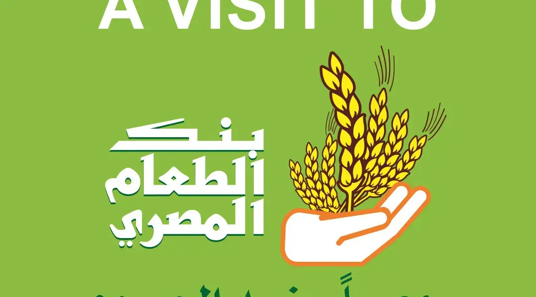 بنك الطعام المصري — EG news