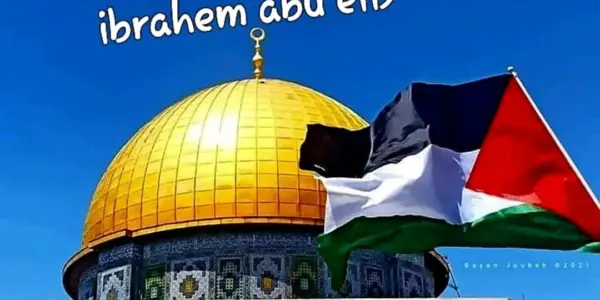 إبراهيم صلاح — EG news