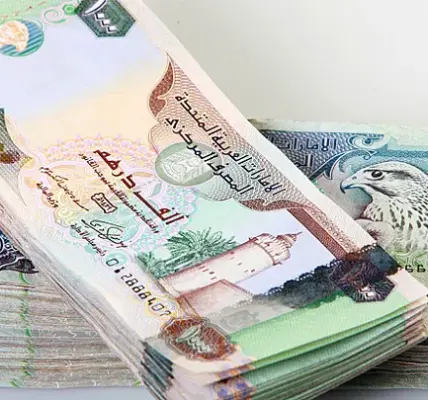 درهم إماراتي — EG news
