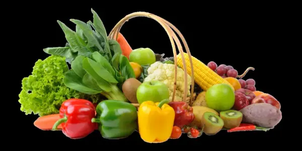 fazoura fresh com eg — EG news