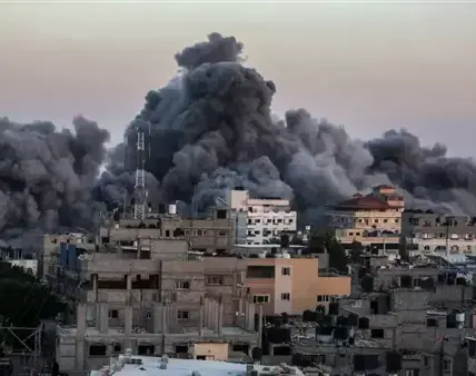 هبة السيسي — EG news