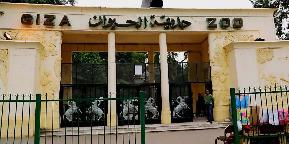 حديقة حيوان الجيزة — EG news