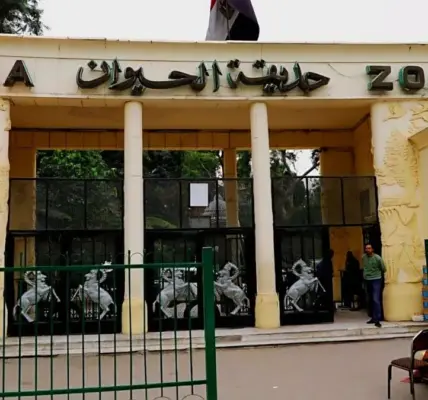 حديقة حيوان الجيزة — EG news