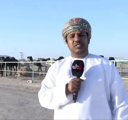 اخبار — EG news