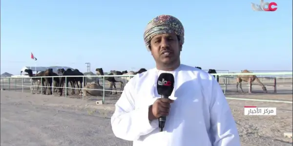 اخبار — EG news