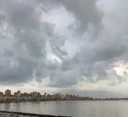 الطقس غدًا — EG news