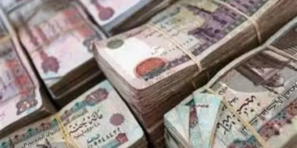 منحة مالية — EG news