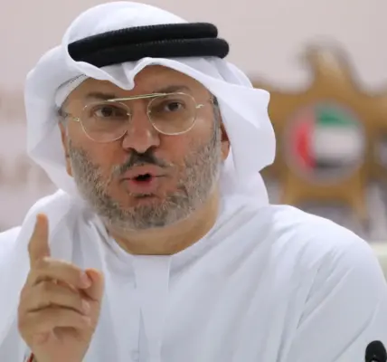 أنور قرقاش — EG news