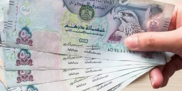 سعر الدرهم الاماراتي — EG news