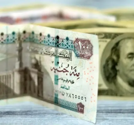 سعر الدولار اليوم مقابل الجنيه المصرى — EG news