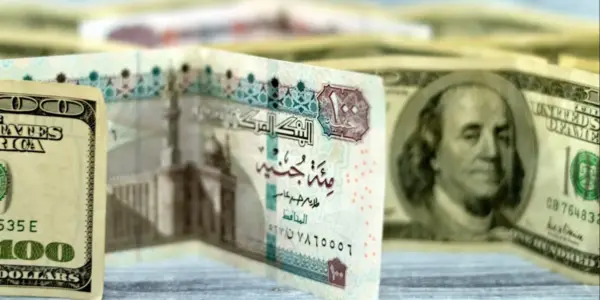 سعر الدولار اليوم مقابل الجنيه المصرى — EG news