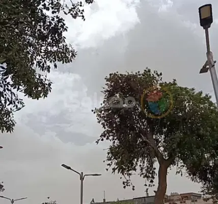 طقس المنيا — EG news