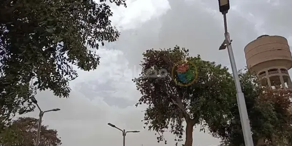 طقس المنيا — EG news