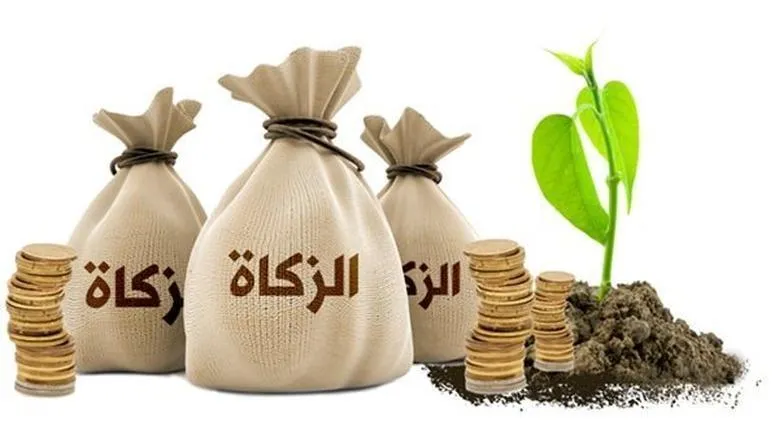 زكاة الفطر 2026 في مصر — EG news