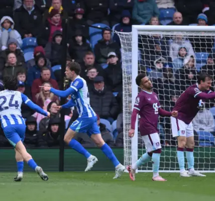 burnley vs brighton — EG news