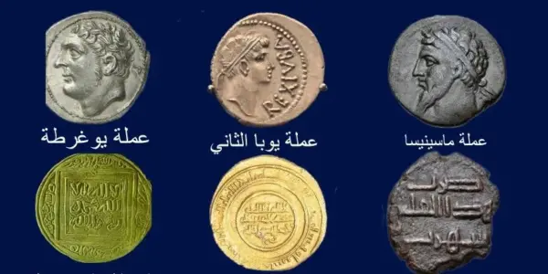 العملة — EG news