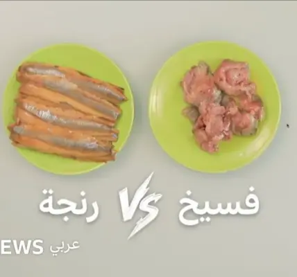 الفسيخ — EG news