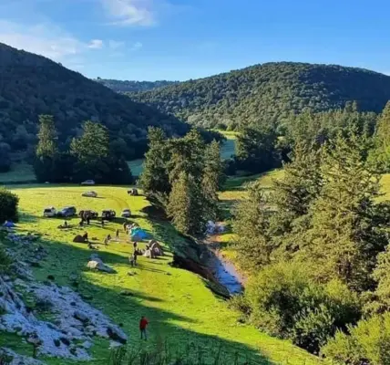 ليبيا — EG news