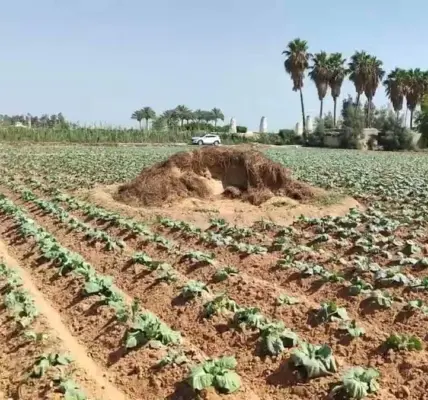 محافظة البحيرة — EG news