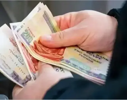 منحة العمالة الغير منتظمة — EG news