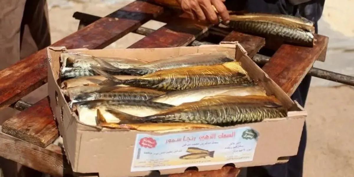 مناخ — EG news