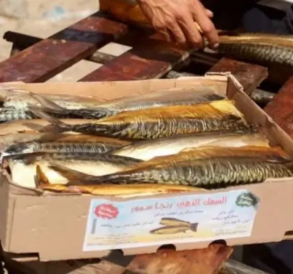 مناخ — EG news