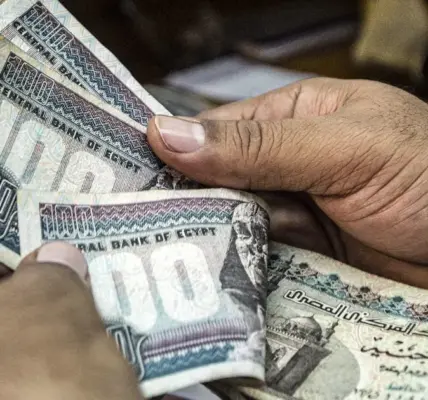 مصر — EG news