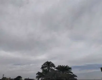 عاصفة رعدية — EG news