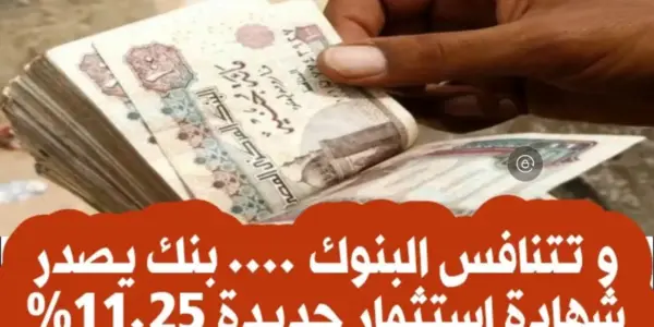 شهادة استثمار — EG news