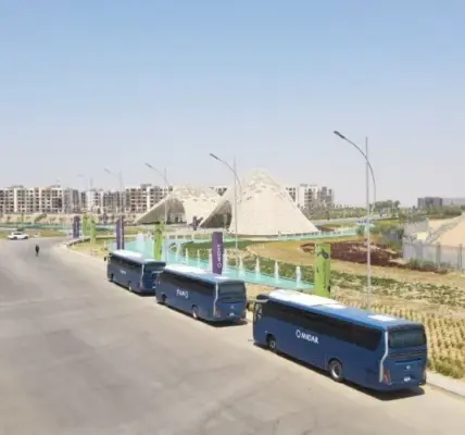 شهادة استثمار — EG news