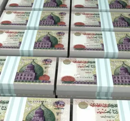 شهادات بنك cib — EG news