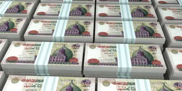شهادات بنك cib — EG news