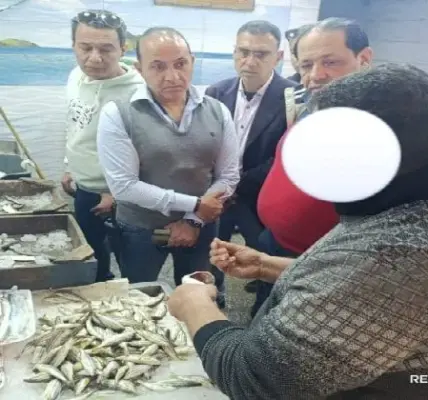 سلعة تموينية — EG news