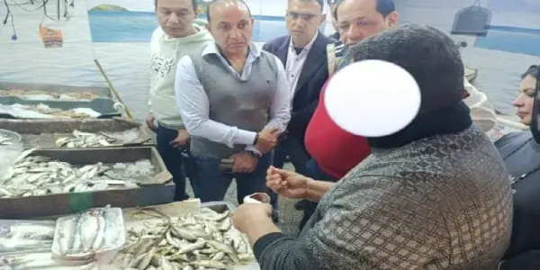 سلعة تموينية — EG news