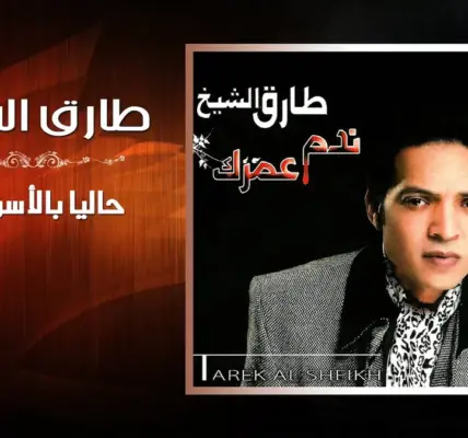 طارق الشيخ — EG news