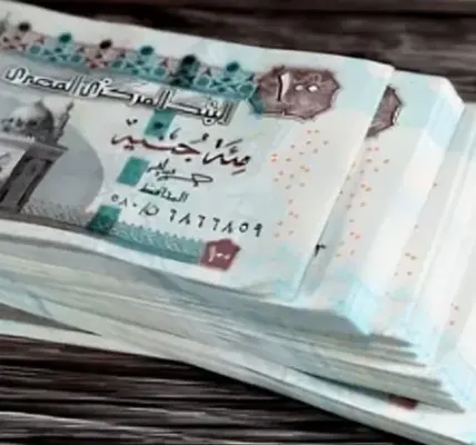 زيادة المعاشات — EG news