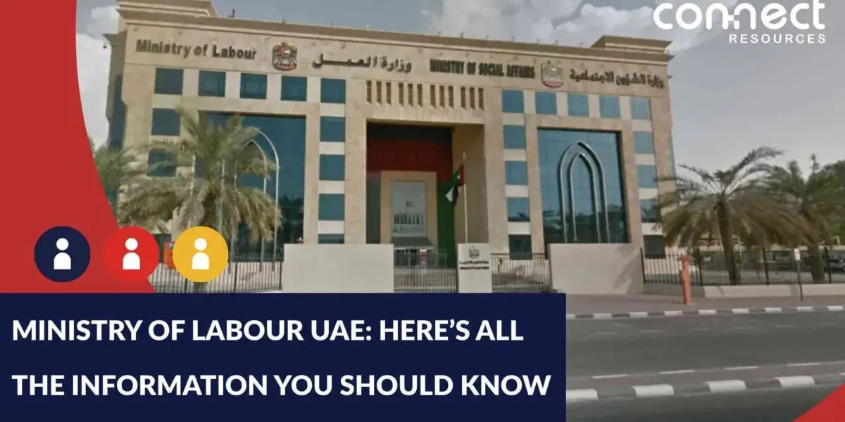 الموقع الرسمي لوزاره العمل — EG news