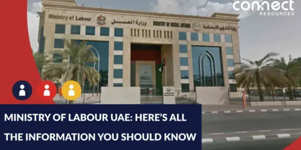 الموقع الرسمي لوزاره العمل — EG news