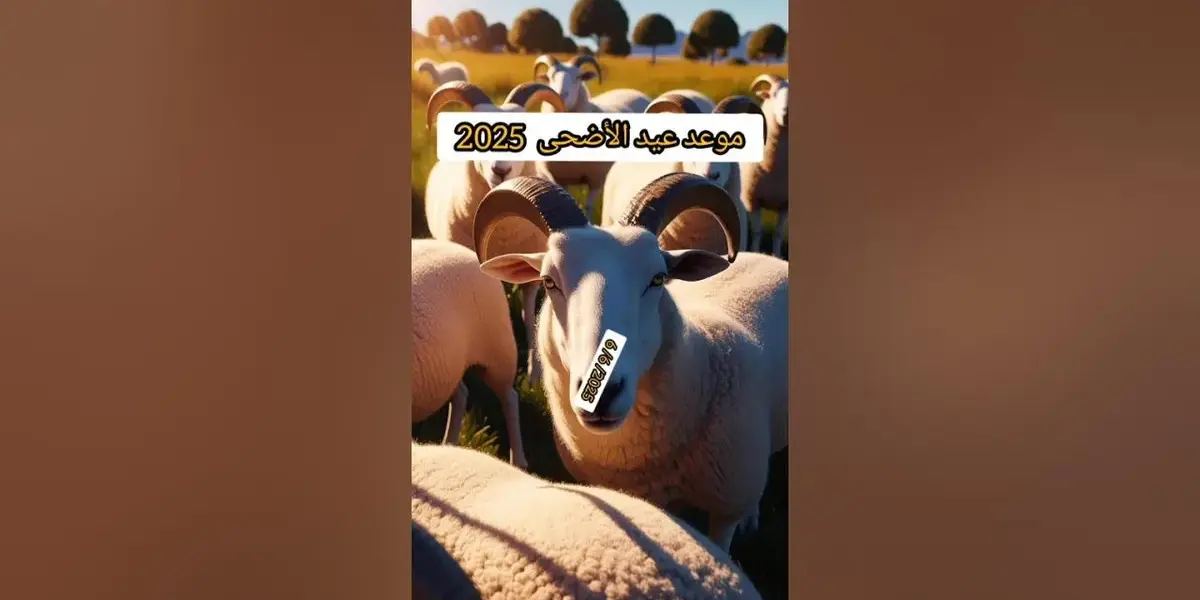 موعد عيد الاضحى المبارك — EG news