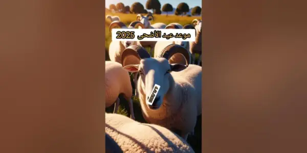 موعد عيد الاضحى المبارك — EG news
