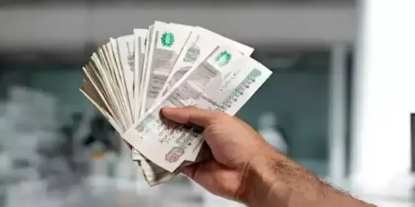 وزارة العمل المصرية — EG news