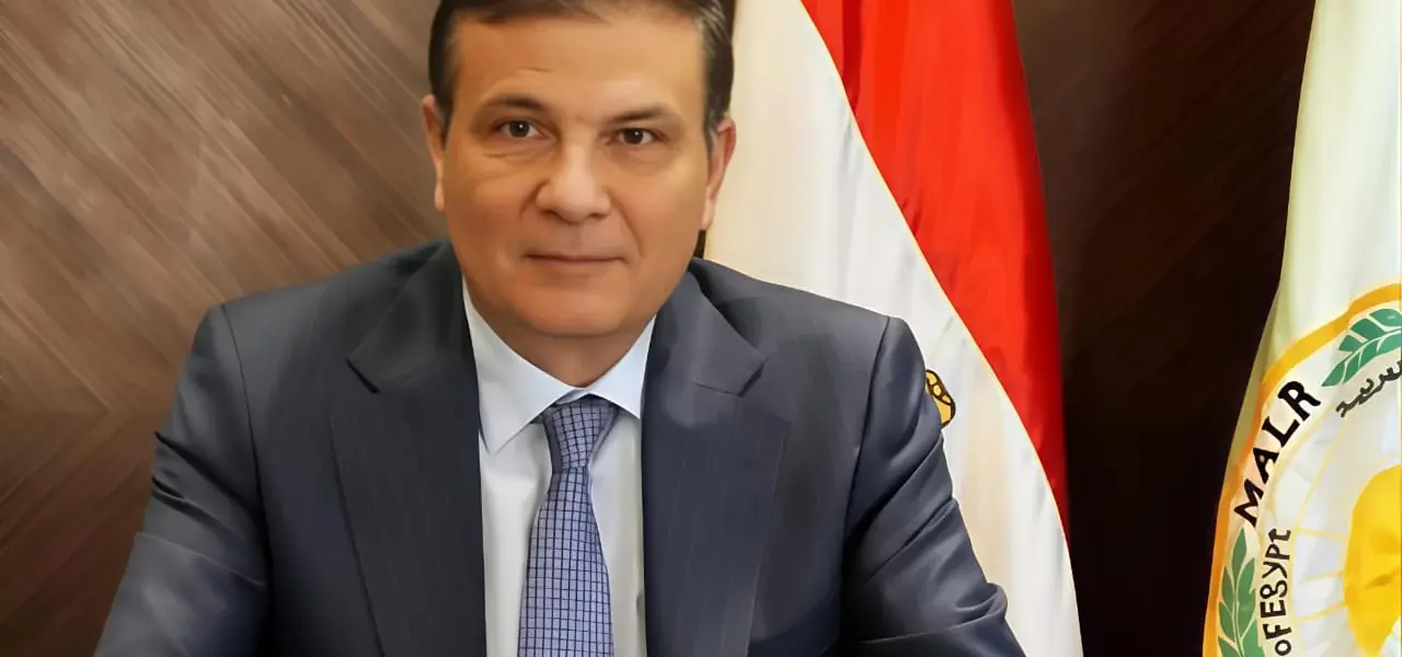 بتروجت يواجه وادى دجلة الخميس المقبل وديا استعدادا للموسم الجديد - اليوم السابع