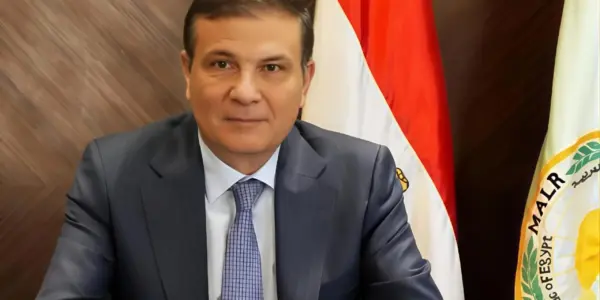 بتروجت يواجه وادى دجلة الخميس المقبل وديا استعدادا للموسم الجديد - اليوم السابع